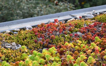the cost of New Quay green roof installation