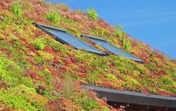 New Quay living roof systems