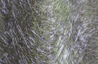 New Quay fibreglass roof work